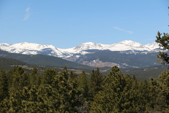 Enlarge photo 277