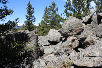 Enlarge photo 279
