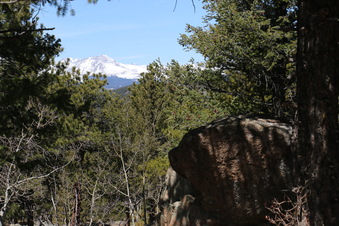 Enlarge photo 281