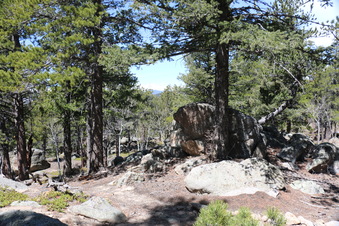 Enlarge photo 282