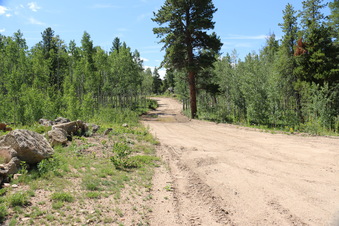 Enlarge photo 2