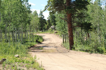 Enlarge photo 3