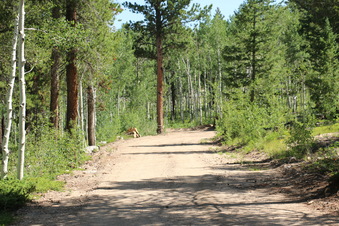 Enlarge photo 11