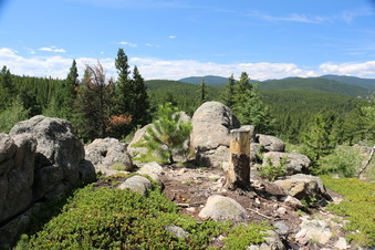 Enlarge photo 24