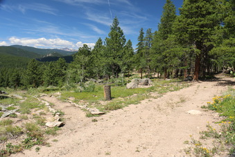 Enlarge photo 29