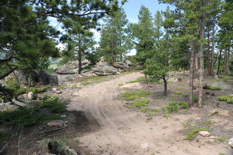 Enlarge photo 41