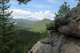 Enlarge photo 45