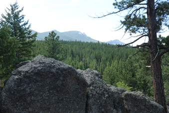 Enlarge photo 47
