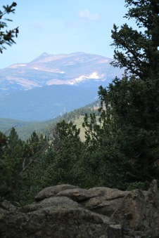 Enlarge photo 54
