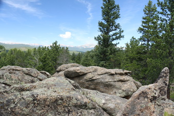 Enlarge photo 81