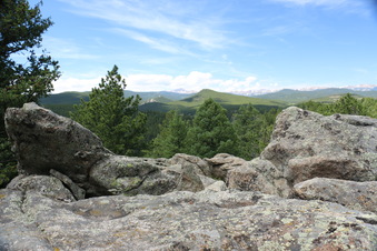 Enlarge photo 86