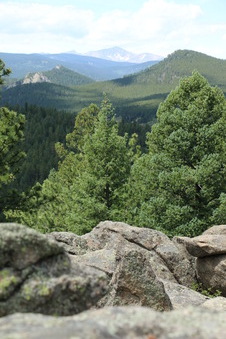 Enlarge photo 87