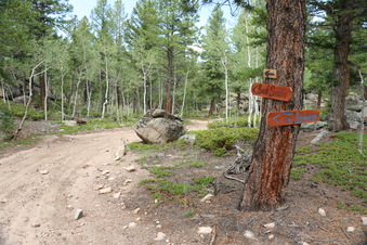Enlarge photo 91