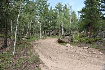 Enlarge photo 92