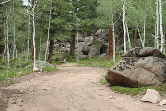 Enlarge photo 93