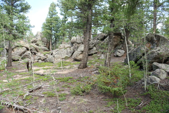 Enlarge photo 95
