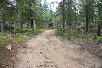 Enlarge photo 98