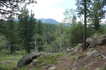 Enlarge photo 102