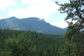 Enlarge photo 104