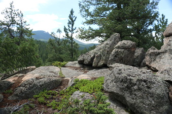 Enlarge photo 107