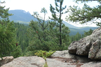 Enlarge photo 108