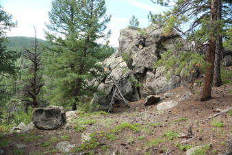 Enlarge photo 110