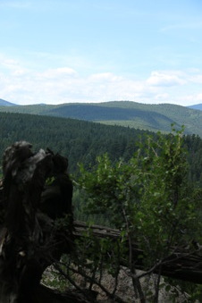 Enlarge photo 114