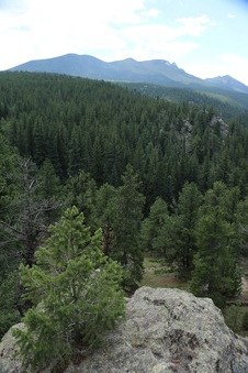 Enlarge photo 121