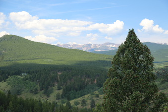 Enlarge photo 124