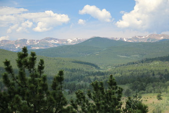 Enlarge photo 129