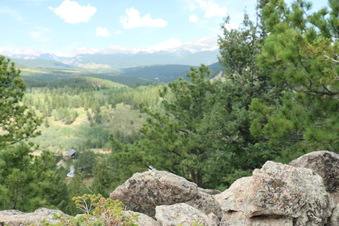 Enlarge photo 133