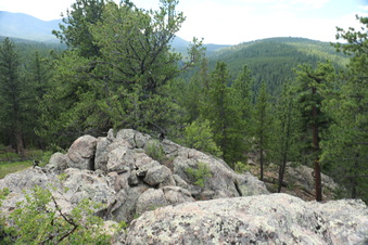 Enlarge photo 135
