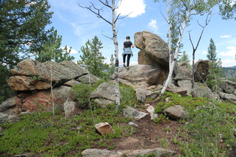 Enlarge photo 141