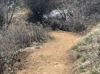 Enlarge photo 7