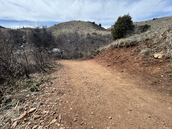 Enlarge photo 6