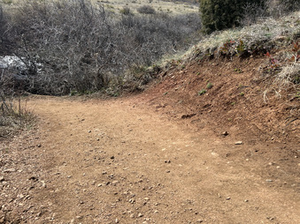 Enlarge photo 11