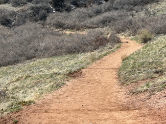 Enlarge photo 17