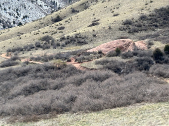 Enlarge photo 20