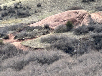 Enlarge photo 21