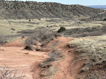 Enlarge photo 53