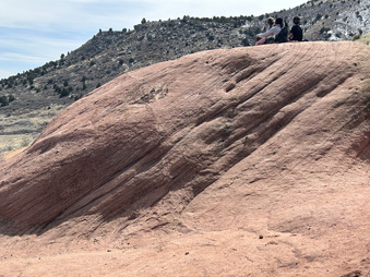 Enlarge photo 65