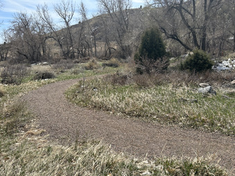 Enlarge photo 17