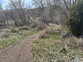 Enlarge photo 19