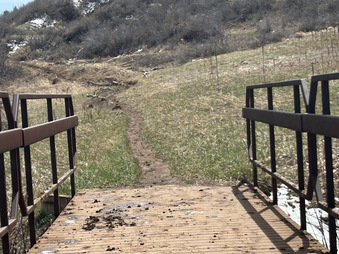 Enlarge photo 28