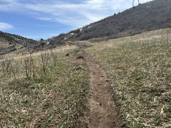 Enlarge photo 29