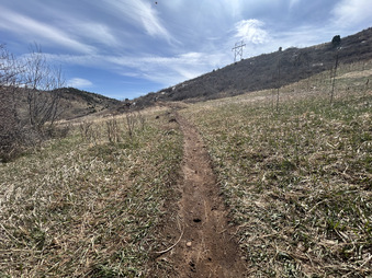 Enlarge photo 30