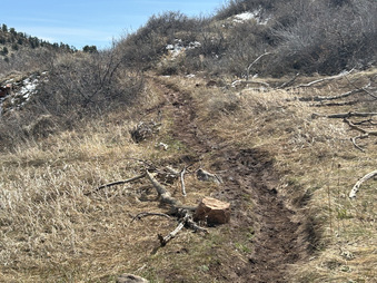 Enlarge photo 34