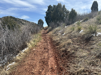 Enlarge photo 42