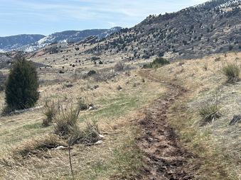 Enlarge photo 48