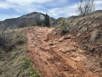 Enlarge photo 53